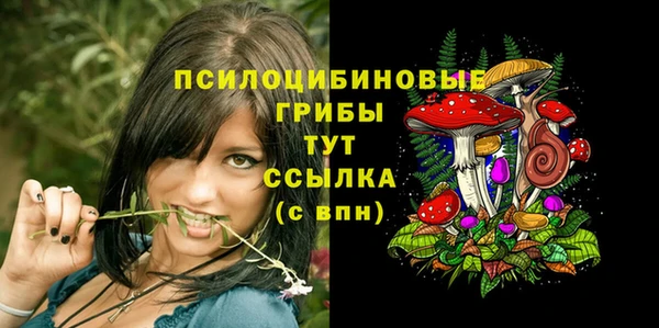 прущий лед Балахна